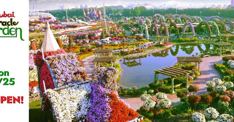 Dubai Miracle Garden 2024-2025 - Coming Soon in UAE