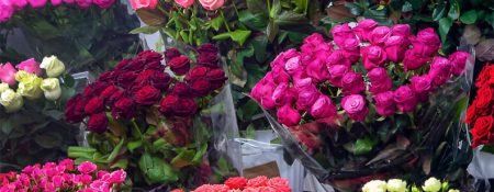 Find the Perfect Online Flower Shop for Your Needs with These Tips - Coming Soon in UAE