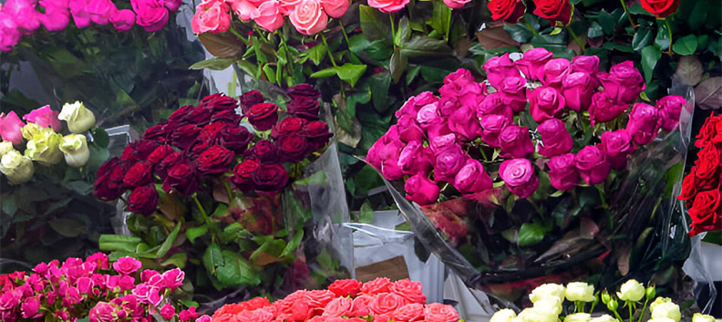 Find the Perfect Online Flower Shop for Your Needs with These Tips - Coming Soon in UAE