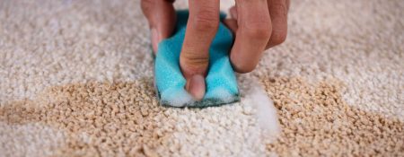 How to Remove Milk From Your Carpet at Home - Coming Soon in UAE