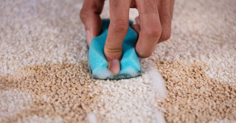 How to Remove Milk From Your Carpet at Home - Coming Soon in UAE