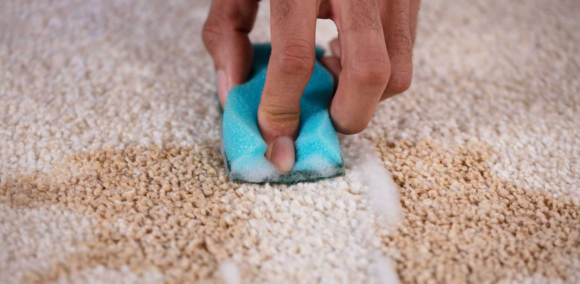 How to Remove Milk From Your Carpet at Home - Coming Soon in UAE