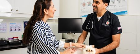 Top 10 Veterinary Clinics in Dubai: Exceptional Pet Care Services - Coming Soon in UAE