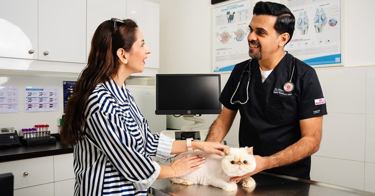 Top 10 Veterinary Clinics in Dubai: Exceptional Pet Care Services - Coming Soon in UAE