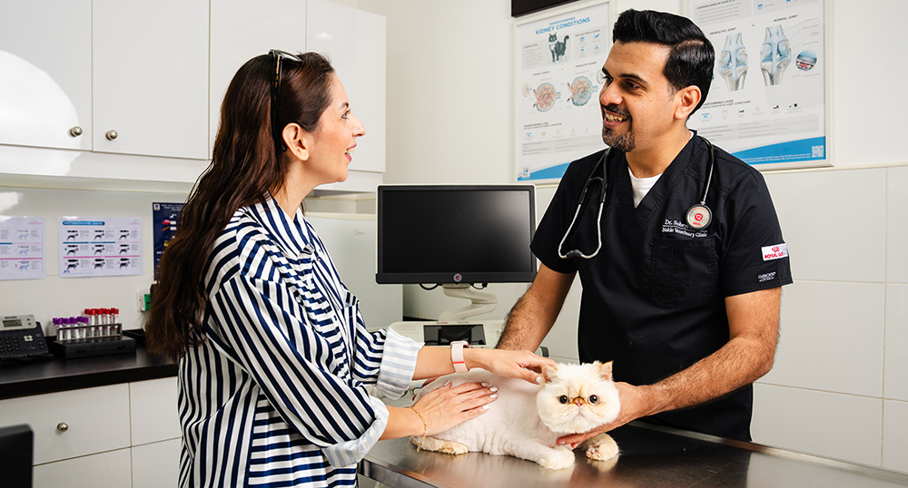 Top 10 Veterinary Clinics in Dubai: Exceptional Pet Care Services - Coming Soon in UAE