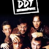 DDT - Coming Soon in UAE