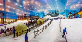 Ski Dubai photo - Coming Soon in UAE