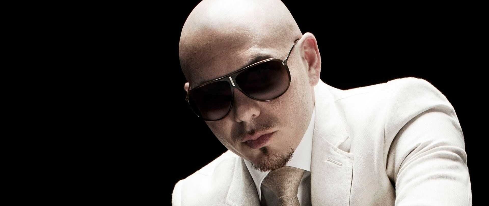 Pitbull - List of Artist and Performers