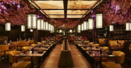 Tattu Dubai photo - Coming Soon in UAE