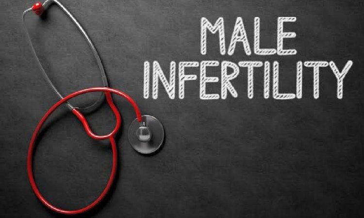 Male Infertility on the Rise: How UAE Clinics Are Addressing It - Coming Soon in UAE