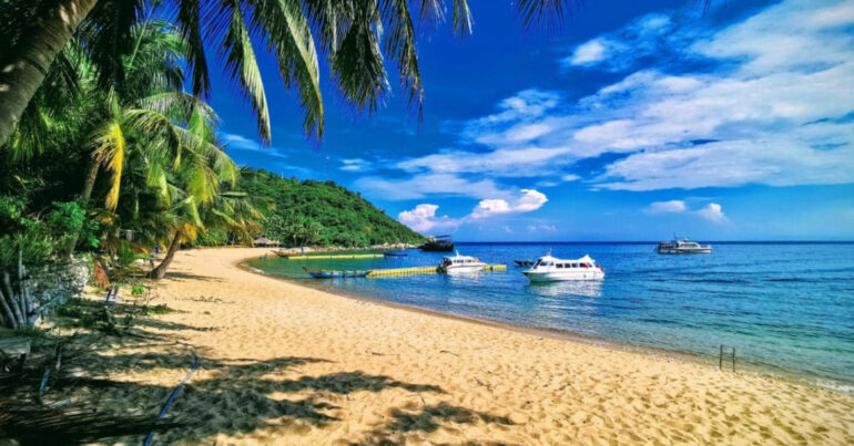 Cham Island Day Trips from Hoi An: Beaches, Snorkeling & Nature - Coming Soon in UAE