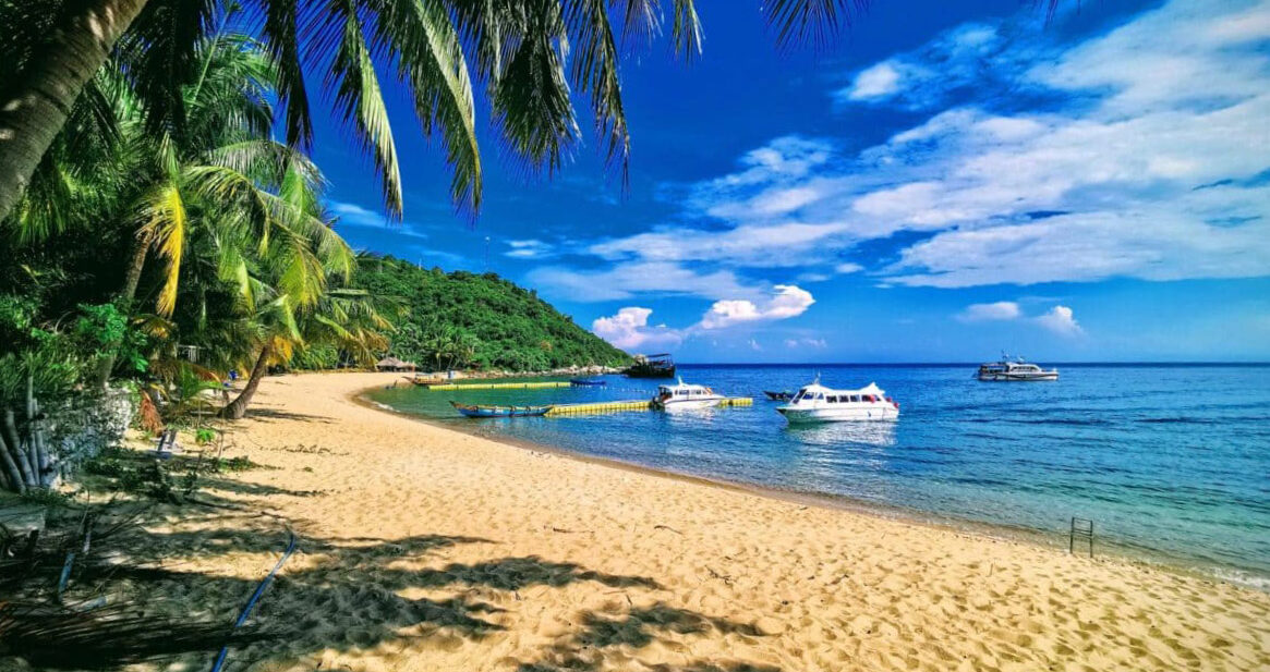 Cham Island Day Trips from Hoi An: Beaches, Snorkeling & Nature - Coming Soon in UAE