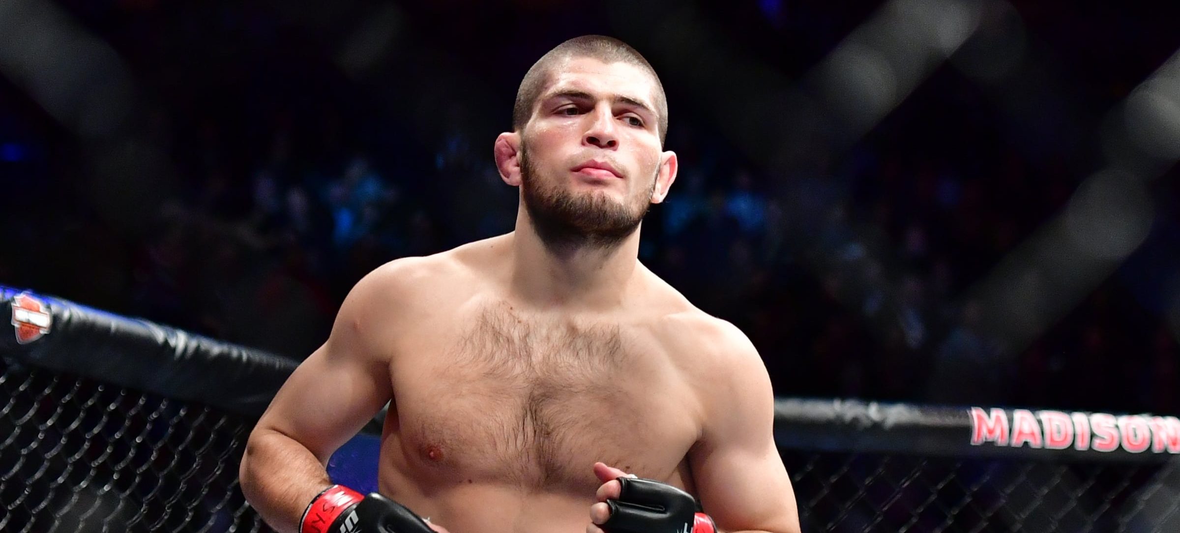 Khabib Nurmagomedov - List of Artist and Performers