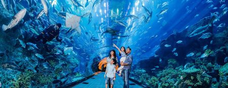 Best Activities for Kids in Dubai: A Parent’s Practical Guide - Coming Soon in UAE