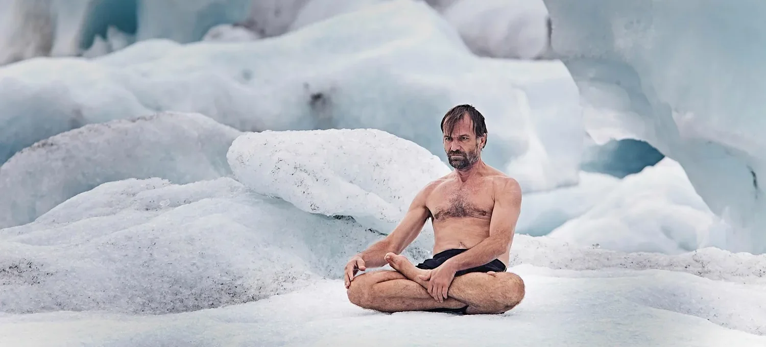 Wim Hof - List of Artist and Performers