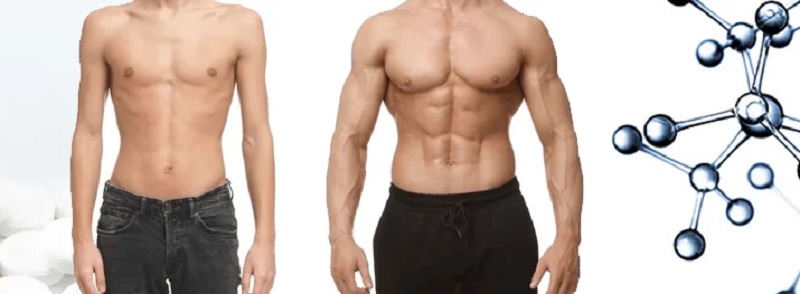  Are Peptides Safe 